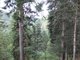 Zipline Hirschgrund